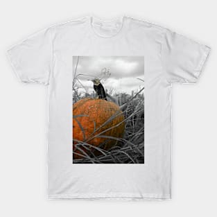 Pumpkin Patch T-Shirt